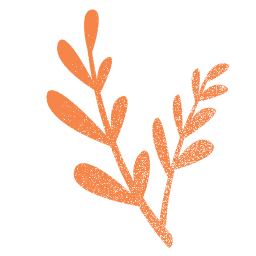 Design Icon