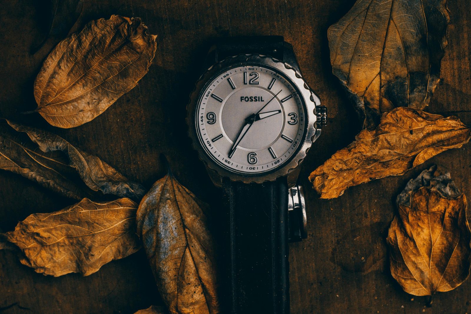 Vintage Watches